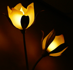 drittes Auge - Licht - aufwachen